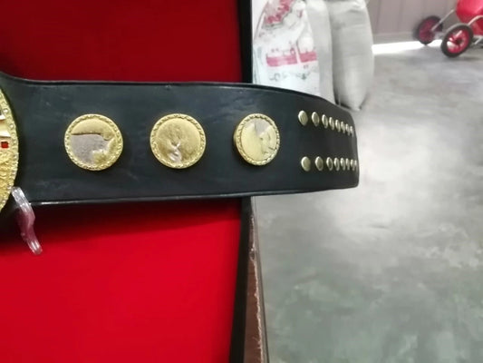 IWGP V1 World Heavyweight Championship Belt. (STG)