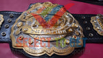 IWGP Heavyweight Championship V4 New Japan Pro-Wrestling