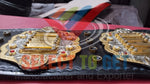 IWGP Heavyweight Championship V4 New Japan Pro-Wrestling