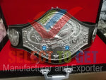 NWA Eastern Heavy Weight Wrestling Champion Ship Belt.