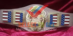 NWA Georgia Television Champion Belt.