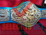 The Model Rick Martel’s WWWF Tag Team Championship Belt.