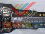 Triple H 30 Years The King Legacy WWE Championship Replica Belt.