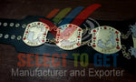 NWA International Tag Team Champion Belt (AJPW) (Vancouver version).