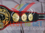 Pacific Wrestling Federation (PWF) World Tag Team Championship Belt.