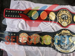 Pacific Wrestling Federation (PWF) World Tag Team Championship Belt.