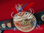 IWGP V1 World Heavyweight Championship Belt. (STG)