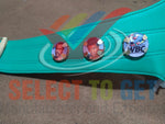 THE 6th GENERATION WBC WORLD CHAMPIONSHIP BELT.