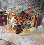WWWF WORLD TAGTEAM CHAPIONSHIP BELT.